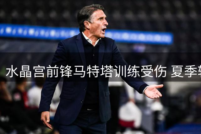 水晶宫前锋马特塔训练受伤 夏季转会计划受阻